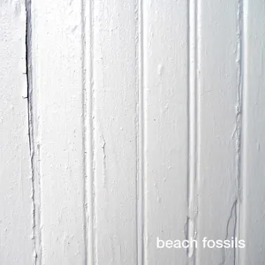 Beach fossils